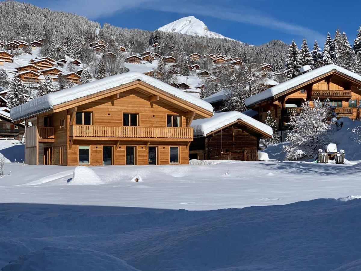 Chalet Vicky et Nino - B&B Les Diablerets