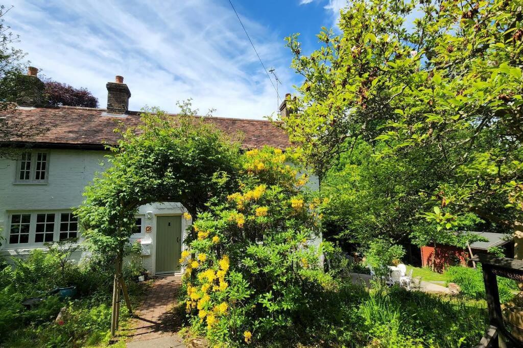 B&B Crowborough - Ashdown Forest character cottage, 18th Century - Bed and Breakfast Crowborough