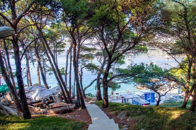 Vacation House Cavtat - B&B