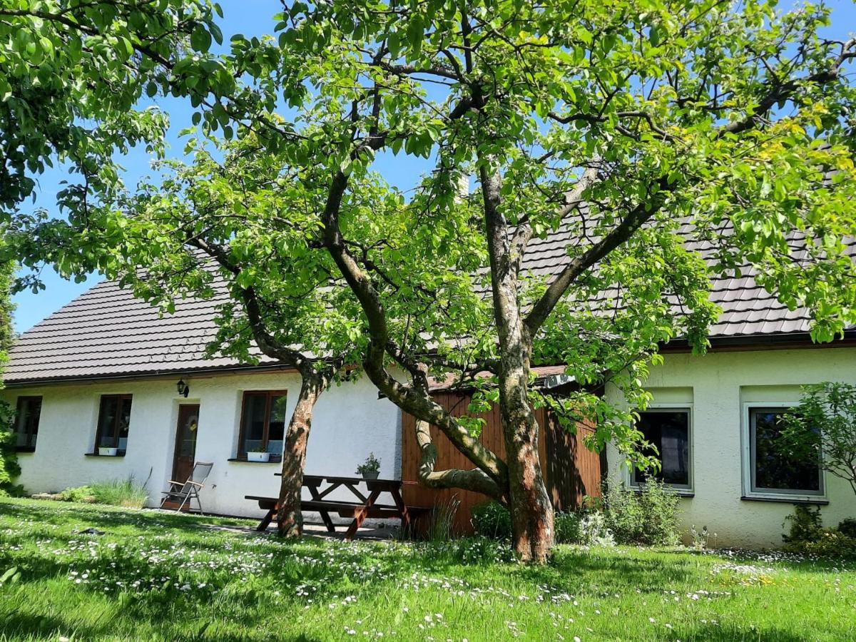 B&B Černov - Holiday Home Chrastov by Interhome - Bed and Breakfast Černov