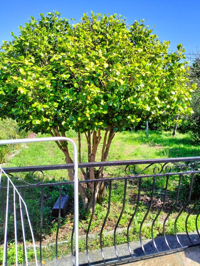 Maison individuelle padulella - B&B Sisco