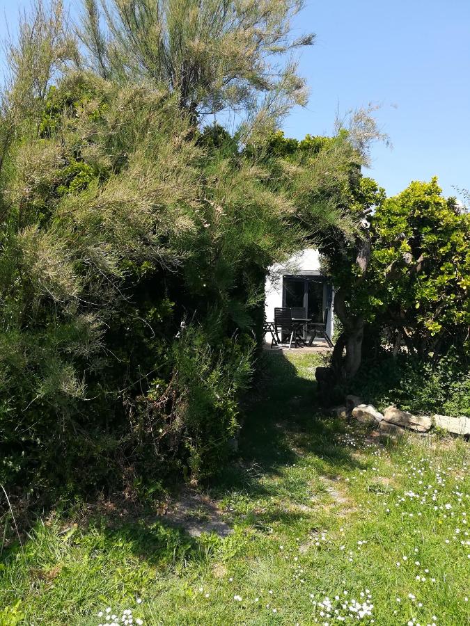 4. Ty gevred à 500m de l'océan - B&B Saint-Jean-Trolimon