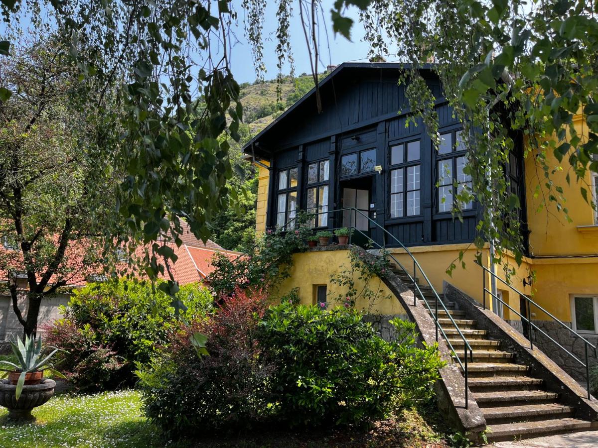 B&B Visegrád - ApartmentVillaSolomon7 - Bed and Breakfast Visegrád