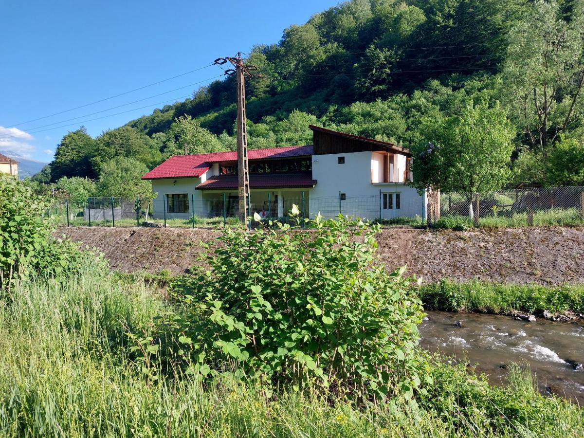 Transilvania 10 - Casa Poarta Văii Jiului - B&B Petroşani