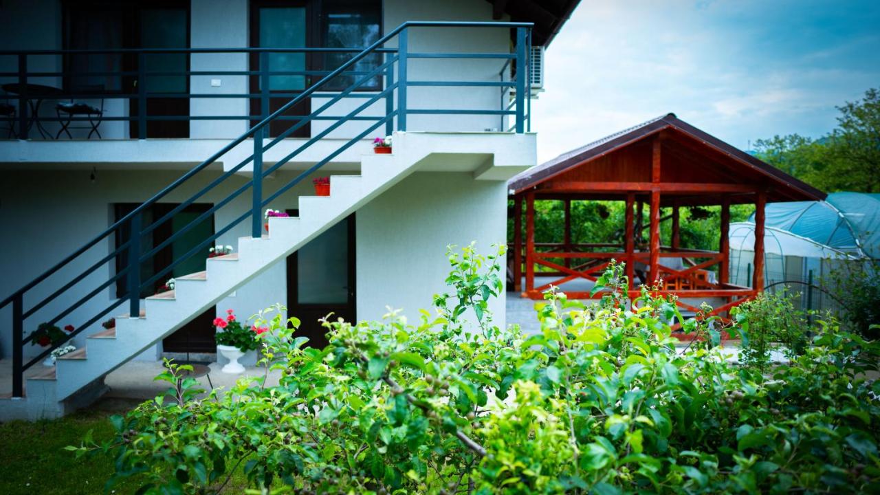 Colt de Rai - B&B Berislăveşti