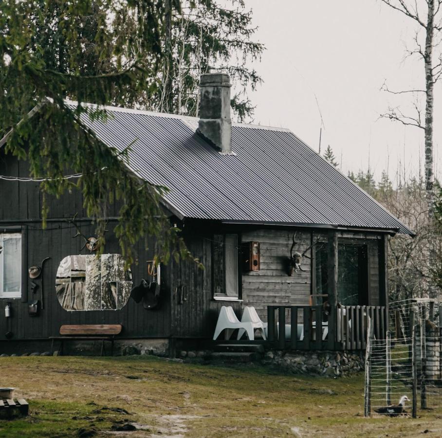 B&B Talsi - Private Farm Jakuzzi Sauna in the forest - Bed and Breakfast Talsi