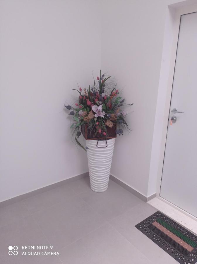 Apartman DIJAMANT Živogošće - B&B