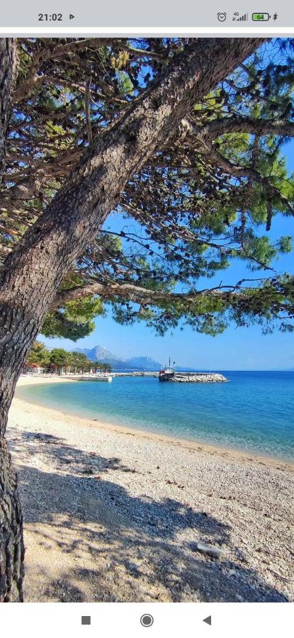 Apartman KRISTAL Živogošće - B&B Živogošće