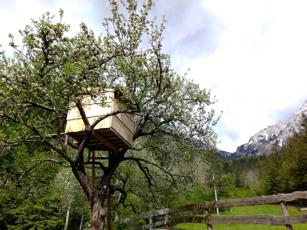 Tree House Deer