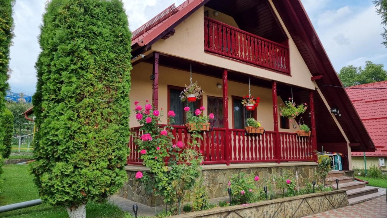 Casa de vacanta Moieciu de Jos - B&B