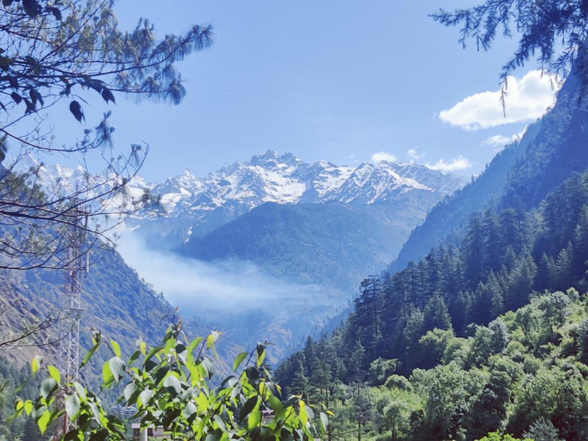 B&B Kasol - Delight Homestay Kasol - Bed and Breakfast Kasol