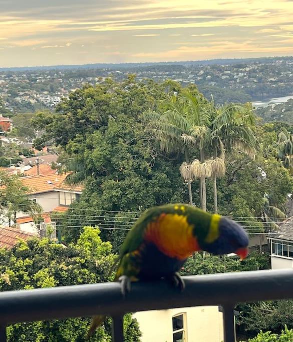 Mosman Views, 2bed, Parking, 15min Walk to Beach - B&B