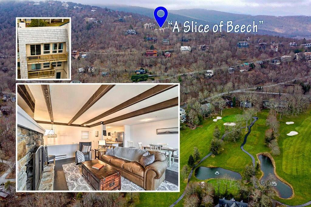 B&B Beech Mountain - A Slice of Beech New Beds Views! - Bed and Breakfast Beech Mountain