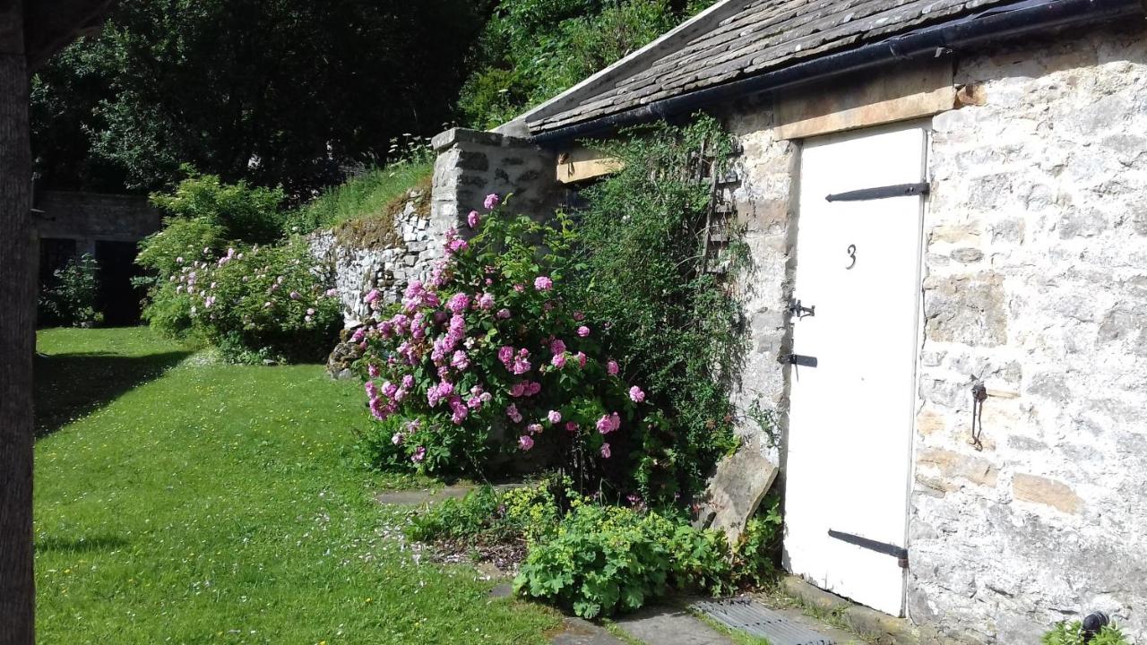 Apple Tree Cottage - B&B