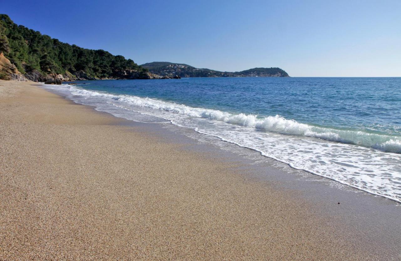 Magnifique petit cocon bord de mer - Bed and Breakfast Le Pradet
