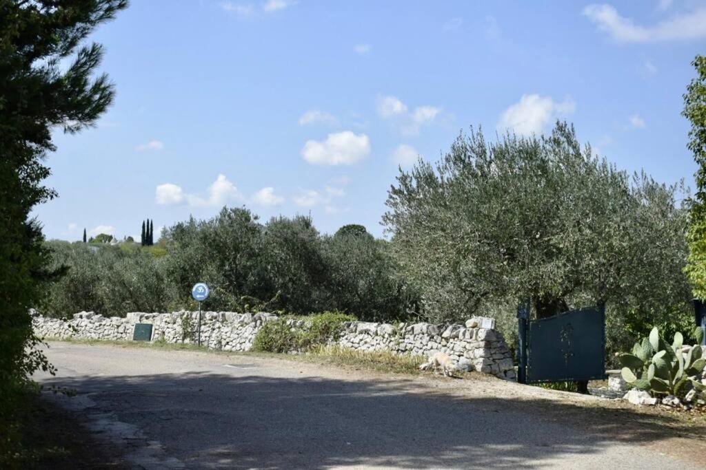 Trulli Shanti Cisternino - B&B Cisternino