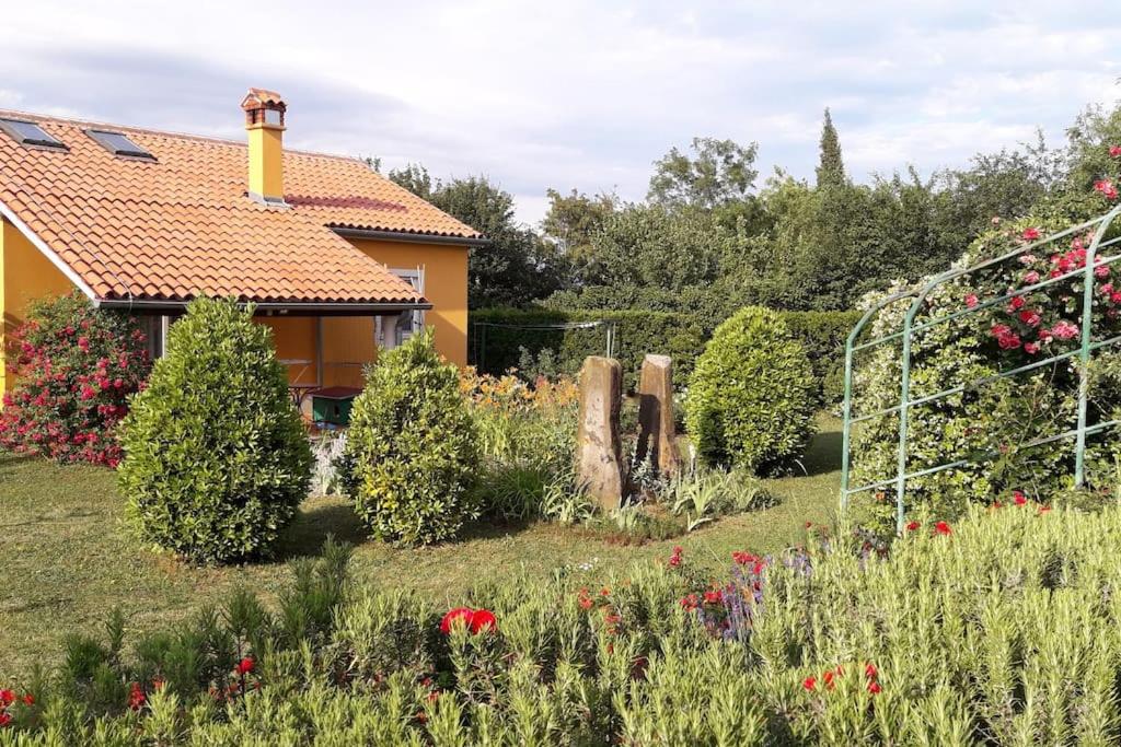 B&B Monte di Capodistria - Apartma Oljka Pomjan - Bed and Breakfast Monte di Capodistria