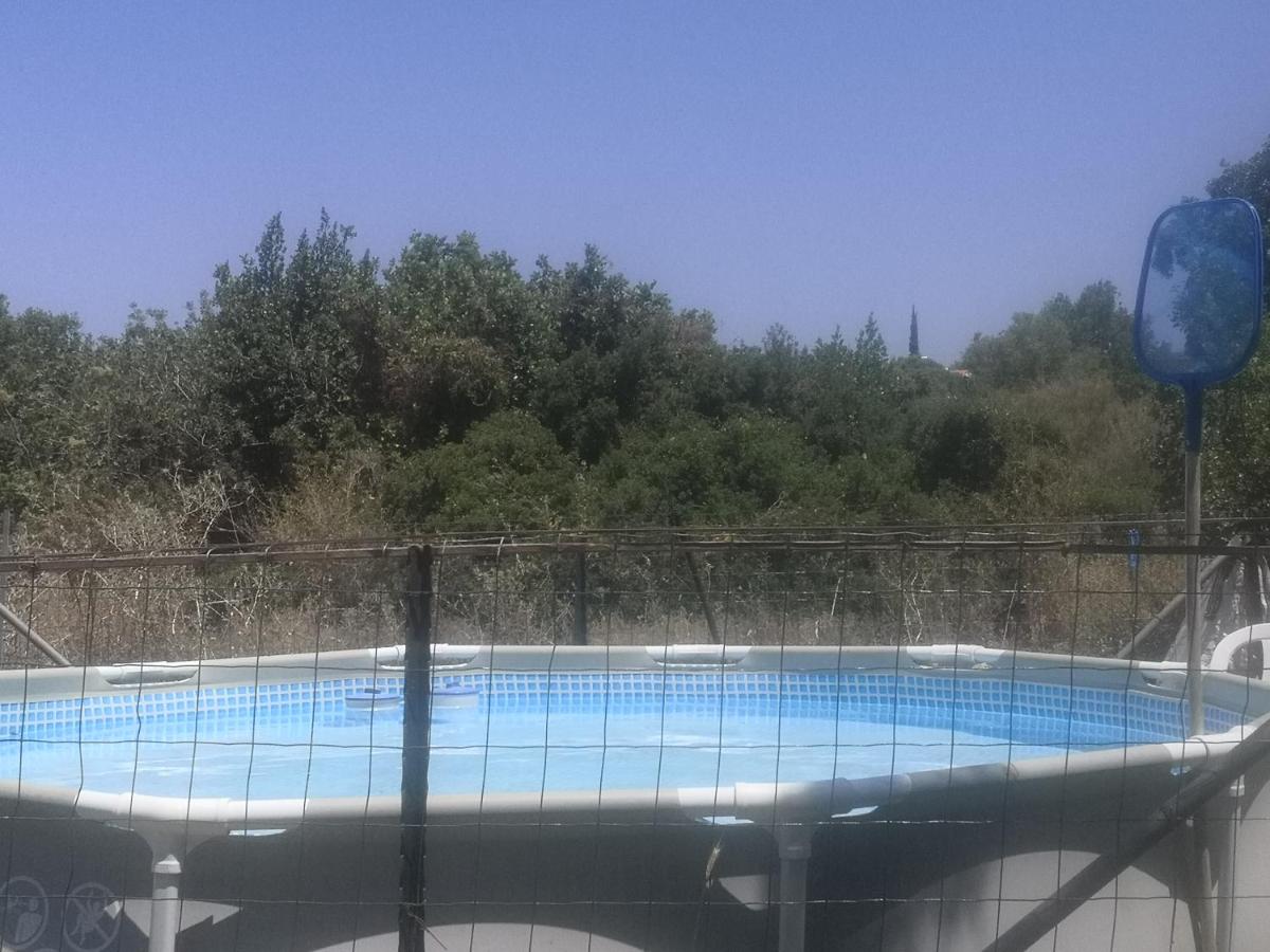 בקתת עץ בחורש במנות - דום גיאודזי - Wooden cabin in Manot - B&B