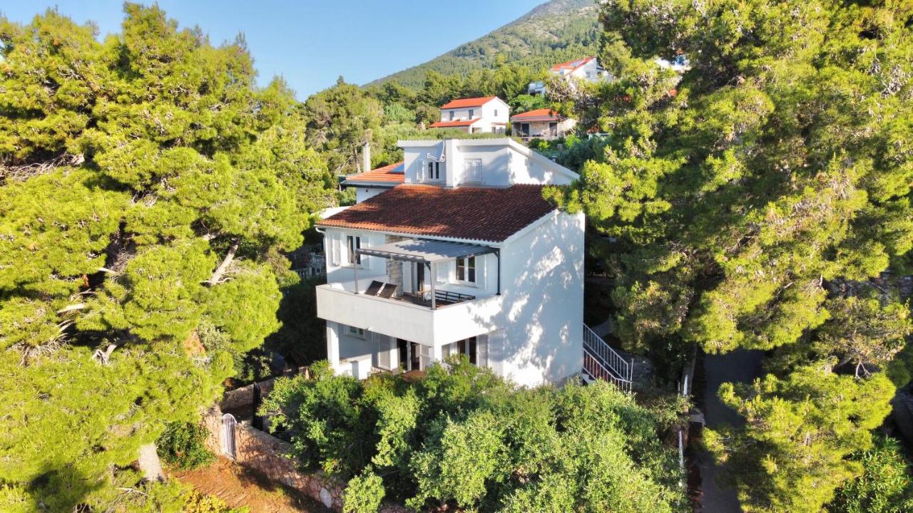 Nautilus-Bay Holiday home with 5 rooms, on the beach, for 2-9 persons - B&B