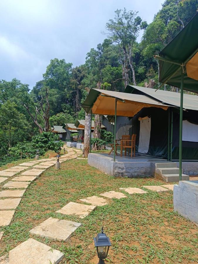 Premium Tented King Room