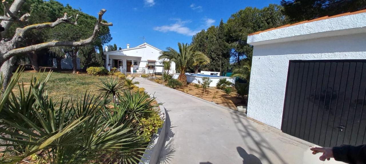 Ven y Ves Alcossebre Casa de Vacaciones. - B&B