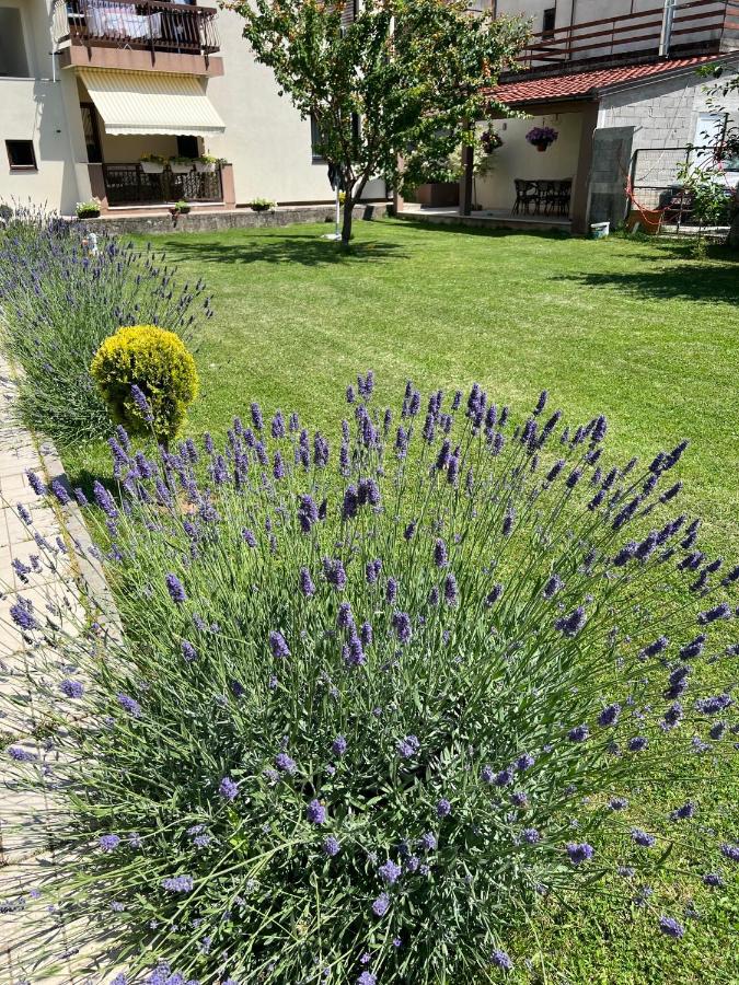 Apartmani Dante Trebinje - B&B