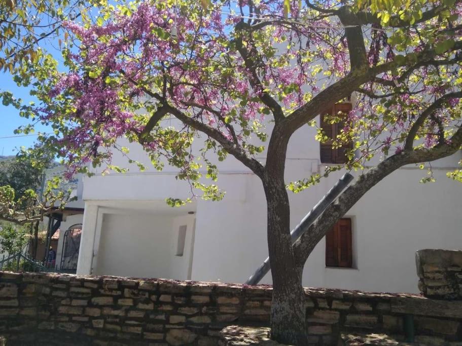 Maison 1 Chambre