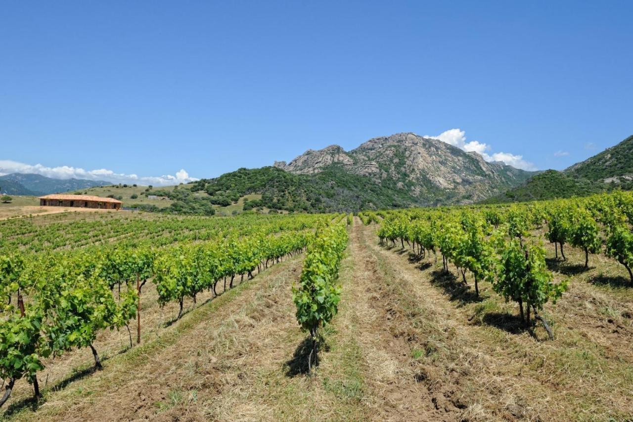 Chambre Double - Vue sur Montagne