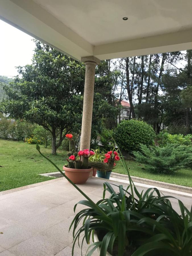 Camelias - B&B Guimarães