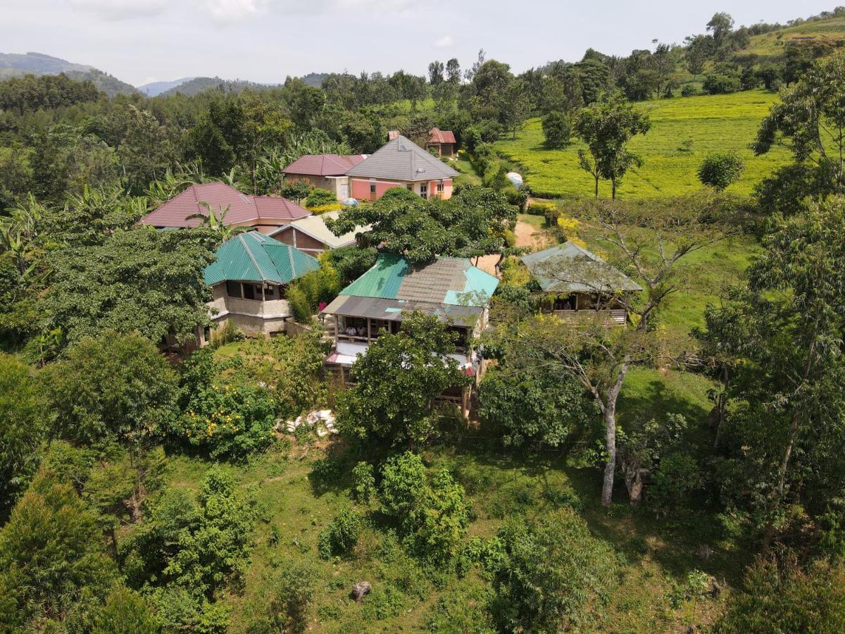 B&B Kachulagenyi - Bwindi my home - Bed and Breakfast Kachulagenyi