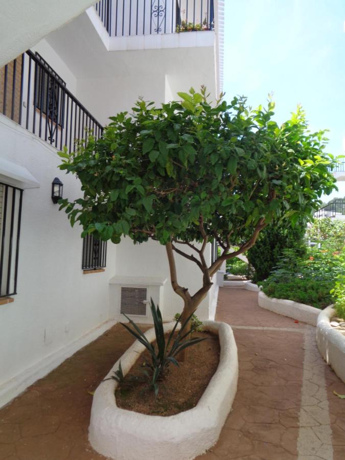 Apartment with Garden View