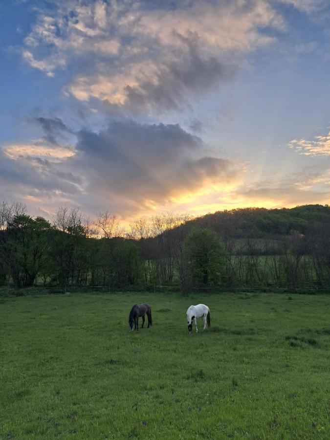 VIKENDICA GARAŠKI KUTAK - Bed and Breakfast Aranđelovac
