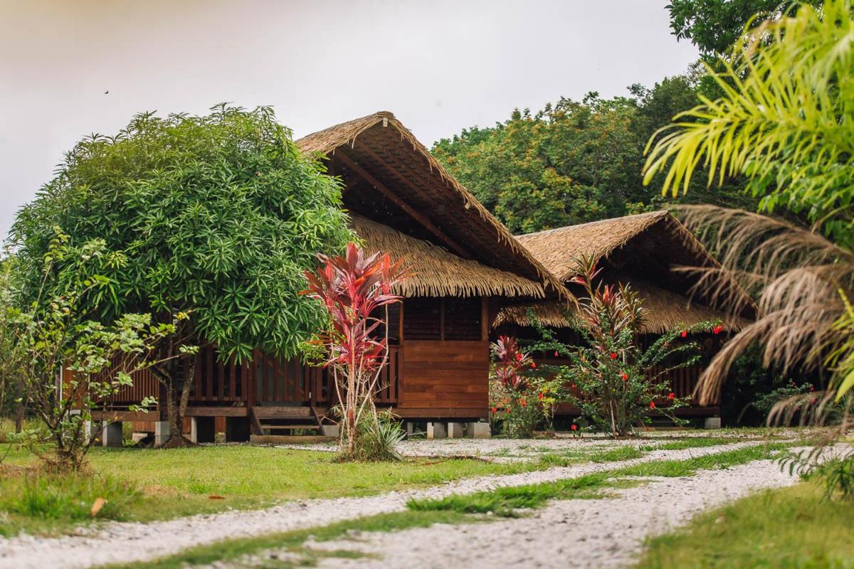 B&B Kourou - Palma Lodges - Bed and Breakfast Kourou