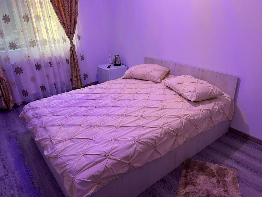 B&B Malu Mare - Pensiunea B C M - Bed and Breakfast Malu Mare