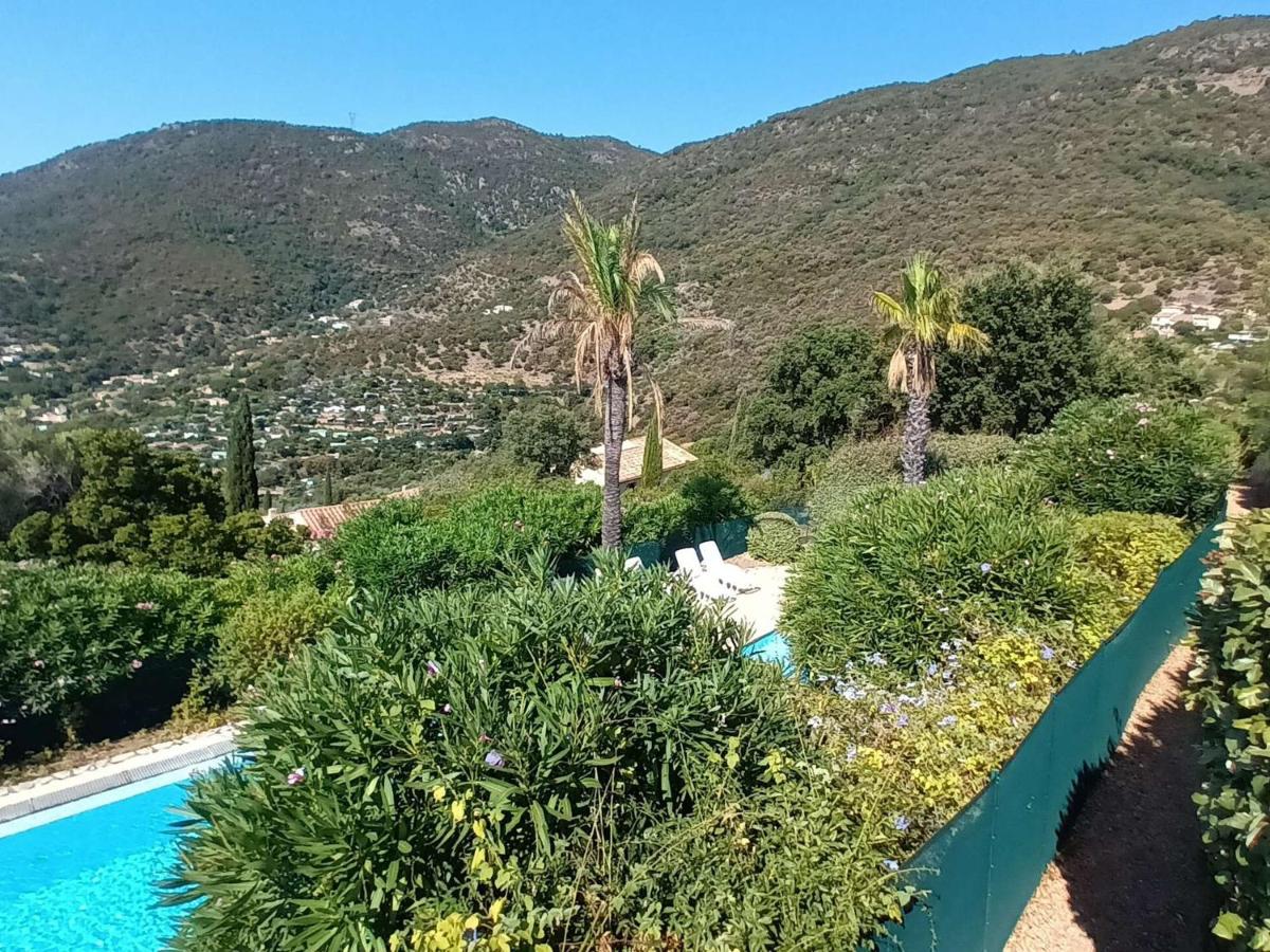 Villa à Cavalaire-sur-Mer avec piscine, sauna, parking et animaux acceptés - FR-1-226B-156 - Chambres d'hôtes Cavalaire-sur-Mer