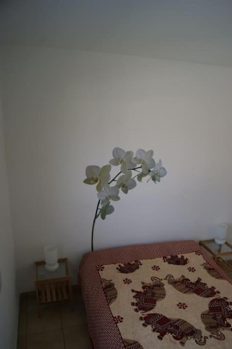Maisonnette climatisée 46 m2 - B&B Andernos-les-Bains