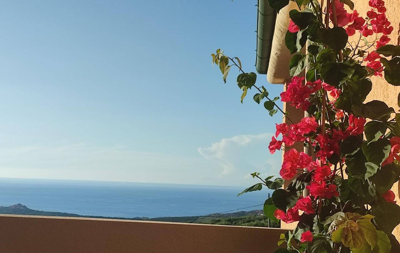 Casa Escondida - Paduledda Isola Rossa - B&B