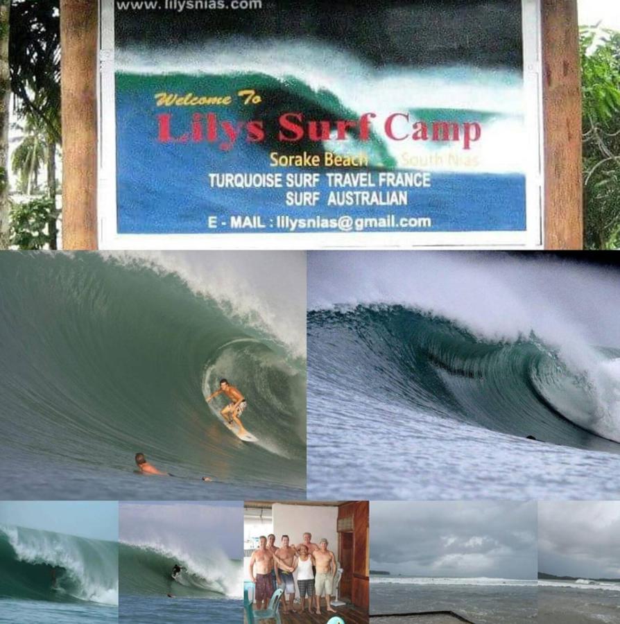 Lilys surf camp - B&B Hilibotodane
