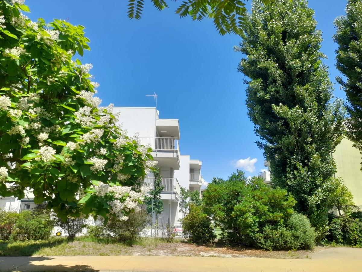 Ca' Savio terramare - B&B Cavallino-Treporti