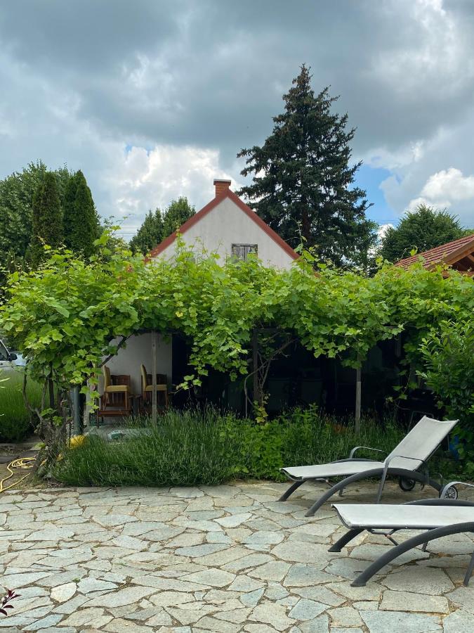Lavender Cottage - B&B