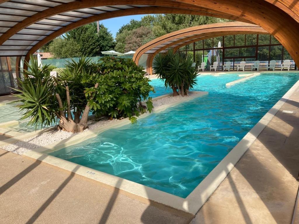 Chalet rénové, environnement très calme, piscines intérieure et extérieure chauffées, Bord du lac de Biscarosse Parentis - Chambres d'hôtes Parentis-en-Born