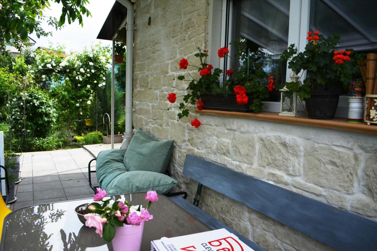 Stone house next to Cluj-Napoca - B&B