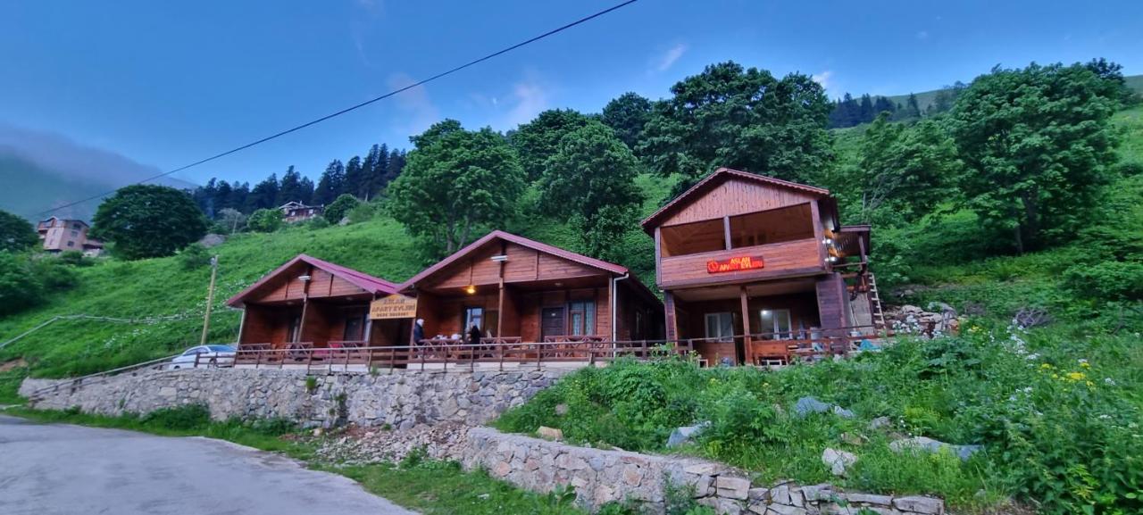 B&B Uzungöl - Aslan Apart Evleri - Bed and Breakfast Uzungöl