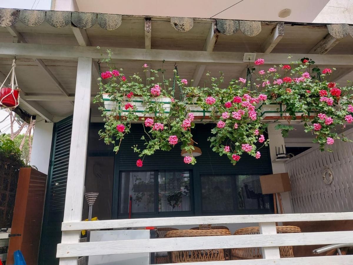 Shtepia e luleve - B&B