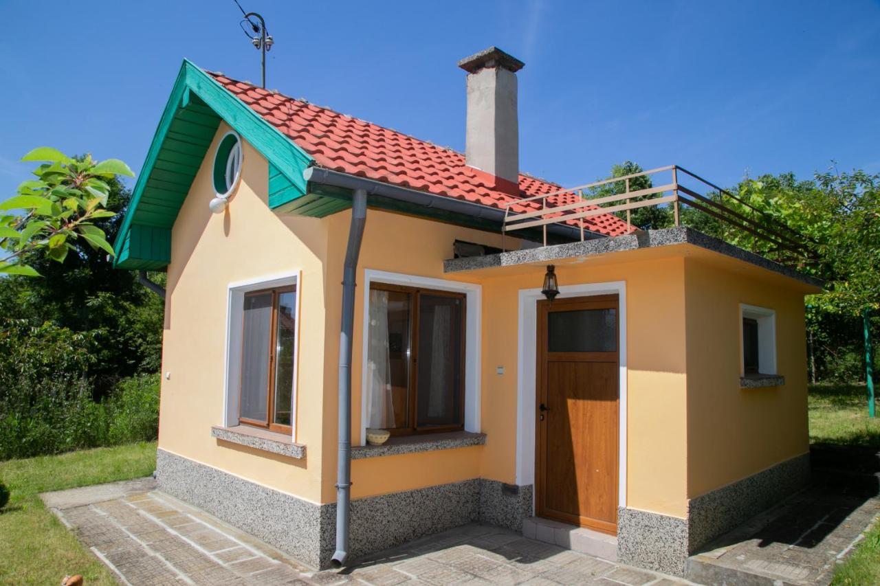 B&B Gabrowo - Holiday Home Milkovci - Bed and Breakfast Gabrowo