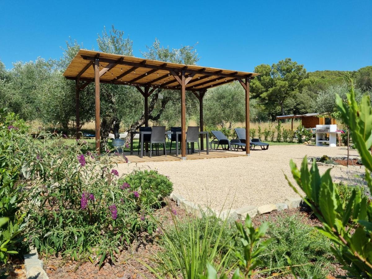 Sea & Olive trees - Ferienwohnung Quercianella