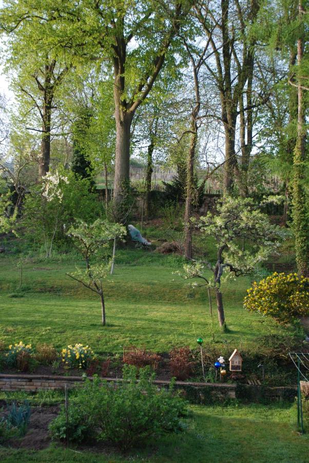 La Maison de Georges - Les Coquelicots - B&B