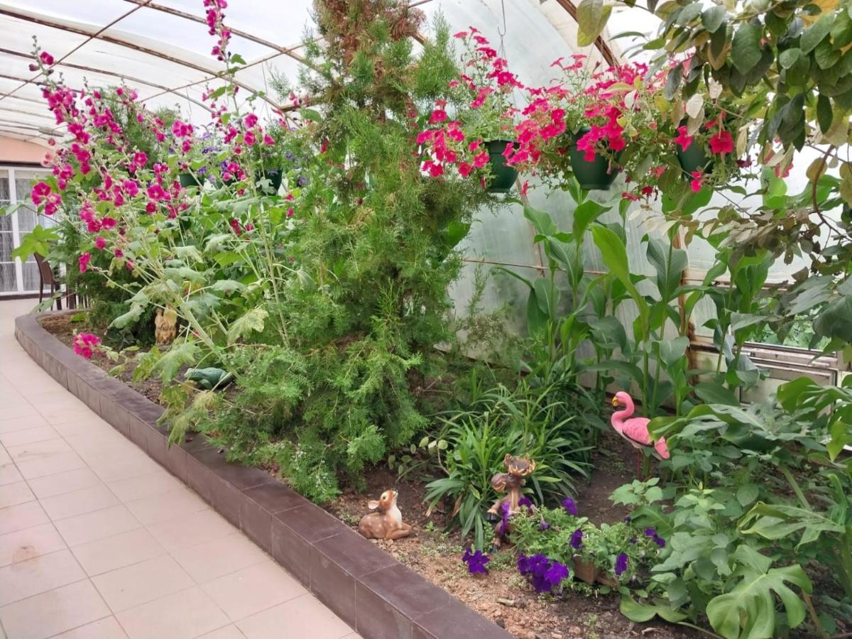 Апарт-Отель Энглер - B&B Novorossiyskoye