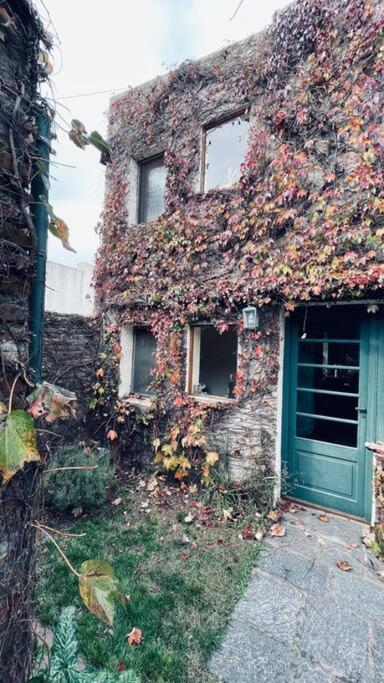 Preciosa casa con diseño único - B&B