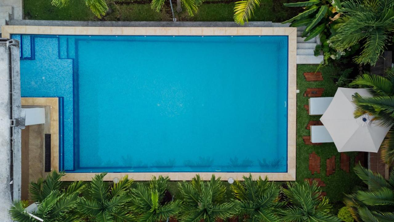The Palm- A Luxury Villa - Bed and Breakfast